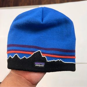 Patagonia Unisex Beanie